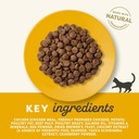Applaws Chicken Adult Dry Cat Food 2kg 5
