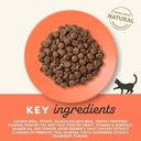Applaws Chicken with Salmon Adult Dry Cat Food 2kg 3