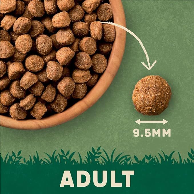 Harringtons Complete Lamb & Rice Adult Dry Dog Food 4kg 3