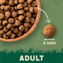 Harringtons Complete Salmon & Potato Adult Dry Dog Food 12kg 3