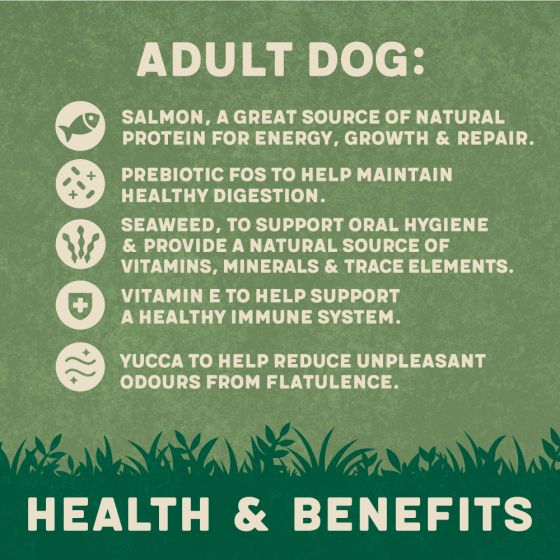 Harringtons Complete Salmon & Potato Adult Dry Dog Food 12kg 4