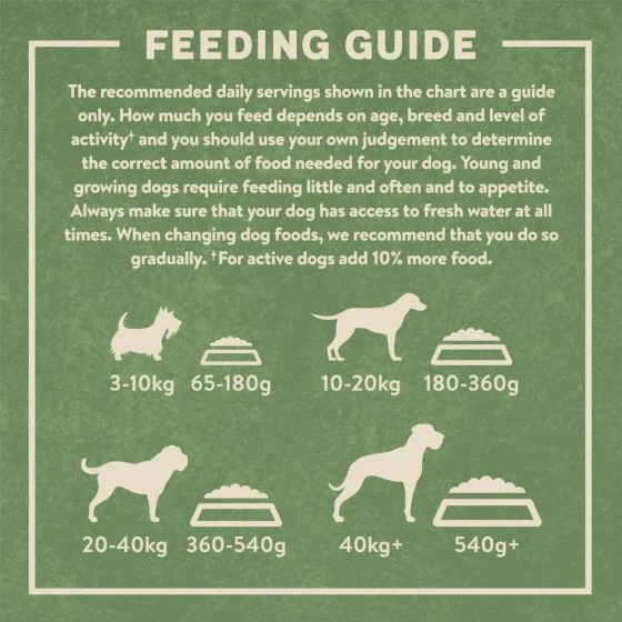 Harringtons Complete Salmon & Potato Adult Dry Dog Food 12kg 5
