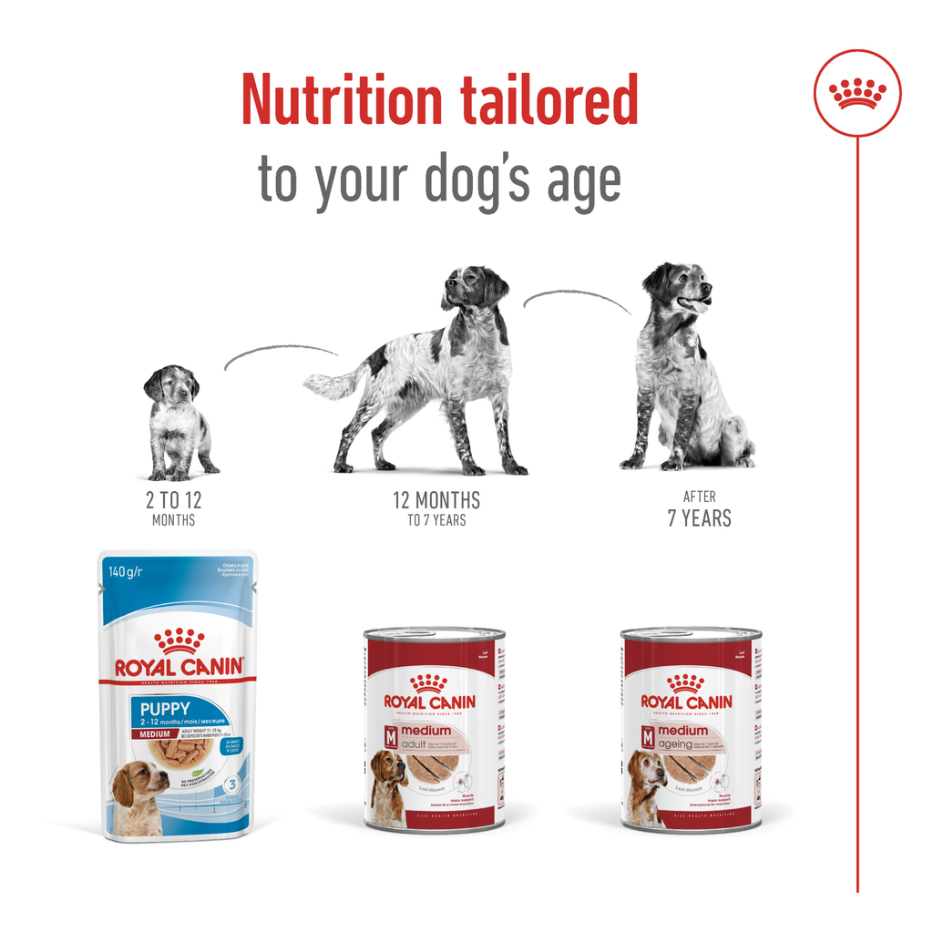Royal Canin Medium Adult Loaf Wet Dog Food 410g 5