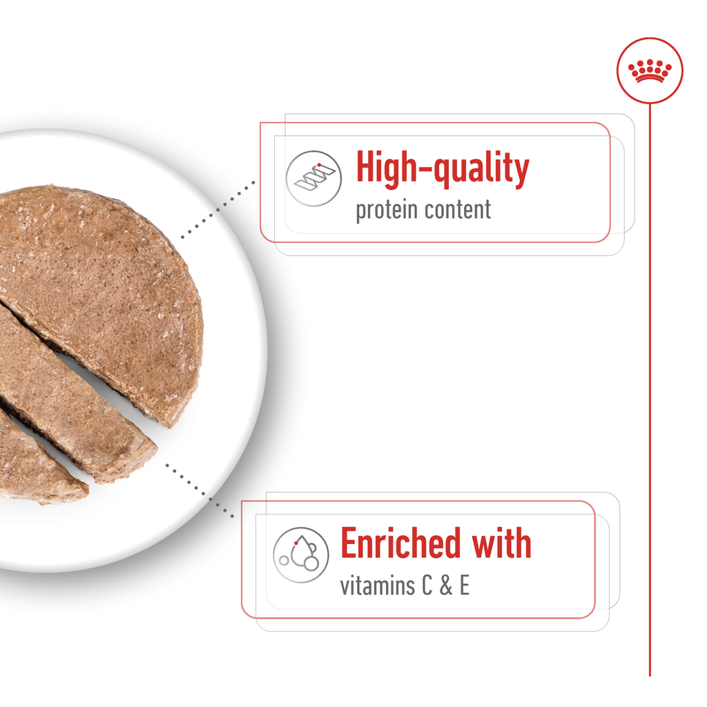 Royal Canin Medium Adult Loaf Wet Dog Food - Pack of 12 x 410g 4