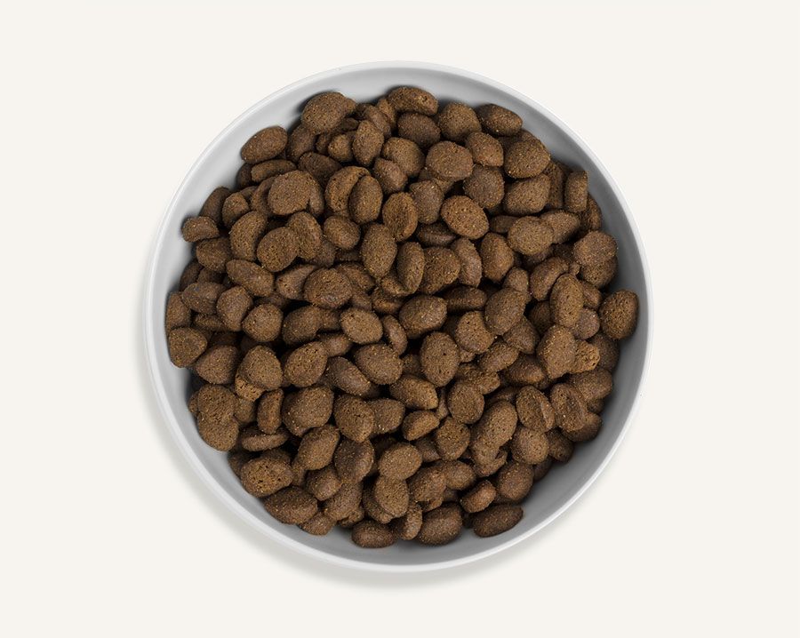 Canagan Country Game Dry Dog Food 2