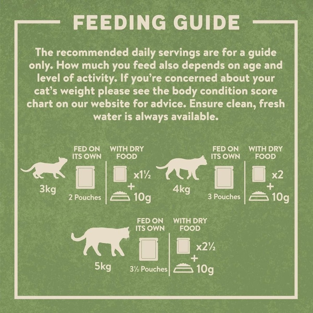 Harringtons Fish in Jelly Wet Cat Food Multipack 5