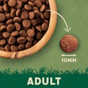 Harringtons Complete Chicken Adult Dry Cat Food 2kg 2
