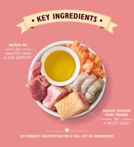 Lily's Kitchen Salmon & Chicken Paté Wet Cat Food 85G 2