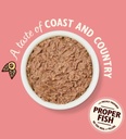Lily's Kitchen Salmon & Chicken Paté Wet Cat Food 85G 3