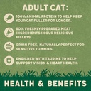 Harringtons Meat in Jelly Wet Cat Food Multipack 4