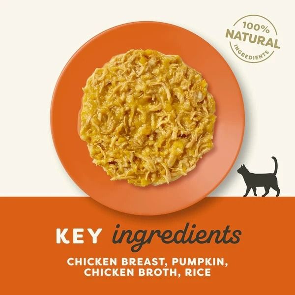Applaws Chicken with Pumpkin in Broth Wet Cat Food 70g 4