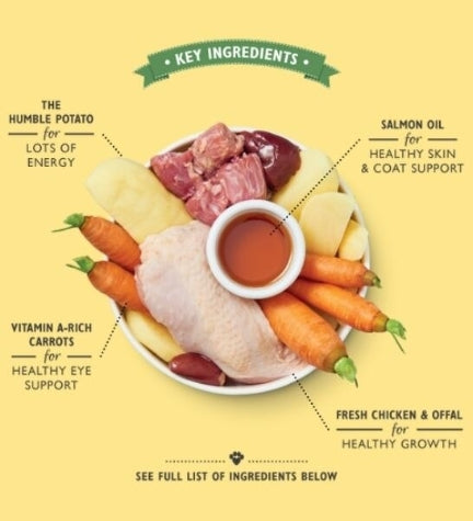 Lily's Chicken Recipe Puppy 150G 2