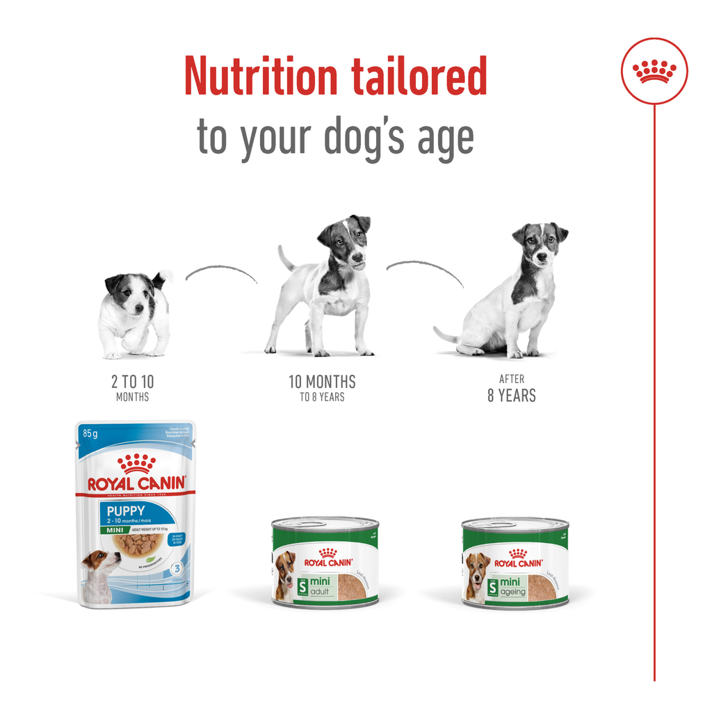 Royal Canin Mini Adult Loaf Wet Dog Food 195g 5