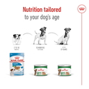 Royal Canin Mini Adult Loaf Wet Dog Food 195g 5