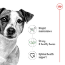 Royal Canin Mini Adult Loaf Wet Dog Food - Pack of 12 x 195g 3
