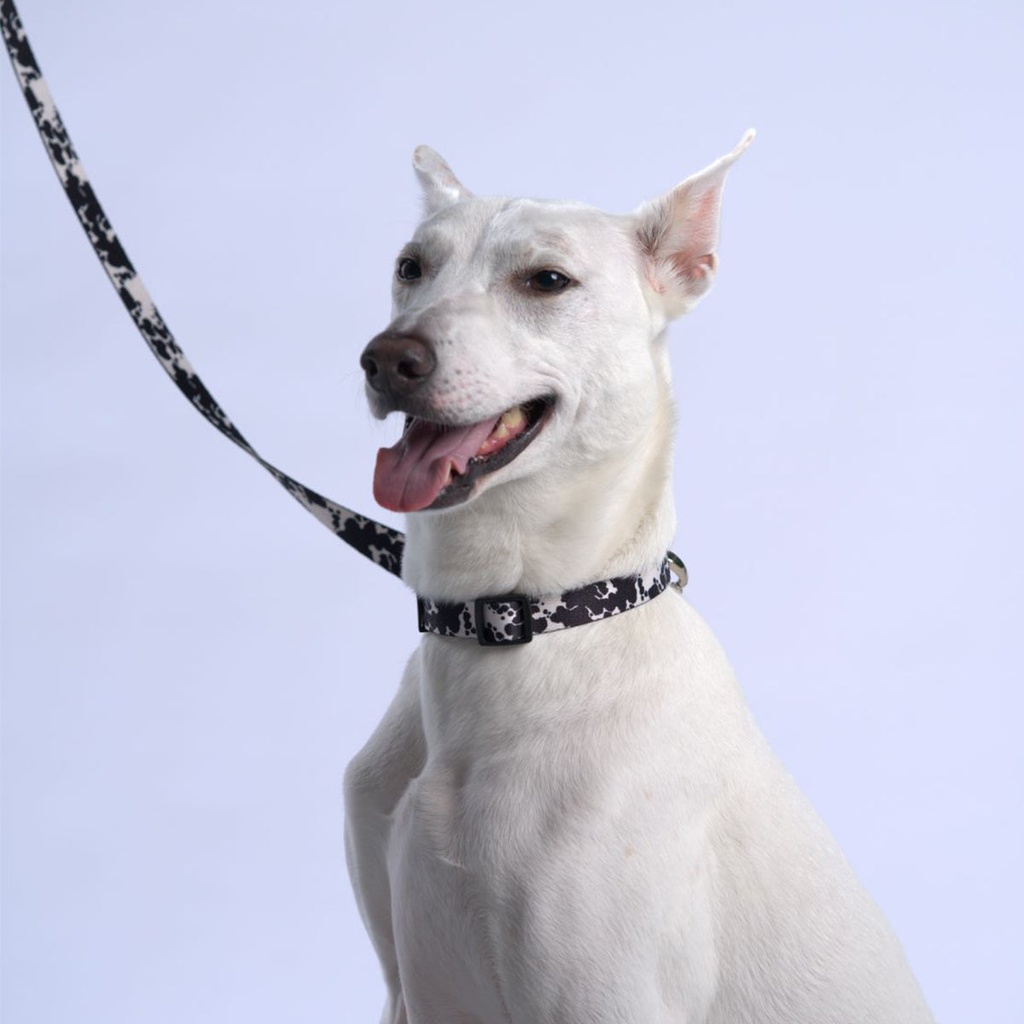 [P-014] Bud & Billy Dog Strong & Durable Leash - Lightweight, 1.8 Meters (XS-L) Monochrome Collection, Classic Black & White Palette