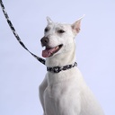 Bud & Billy Dog Strong & Durable Leash - Lightweight, 1.8 Meters (XS-L) Monochrome Collection, Classic Black & White Palette