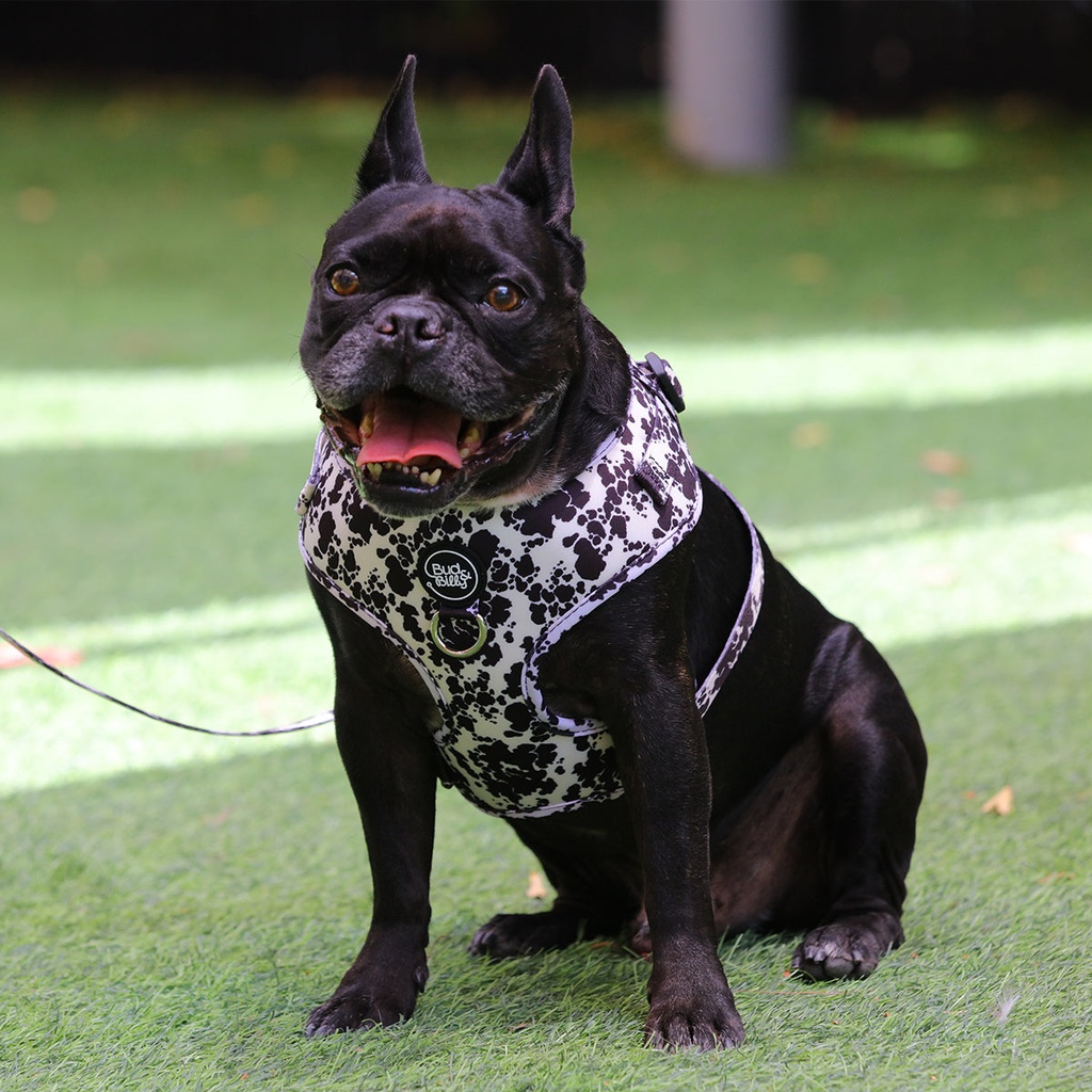 [P-015] Bud & Billy Dog Harness Adjustable (XXS-XL) - Breathable Vest, Monochrome Collection, Classic Black & White Palette