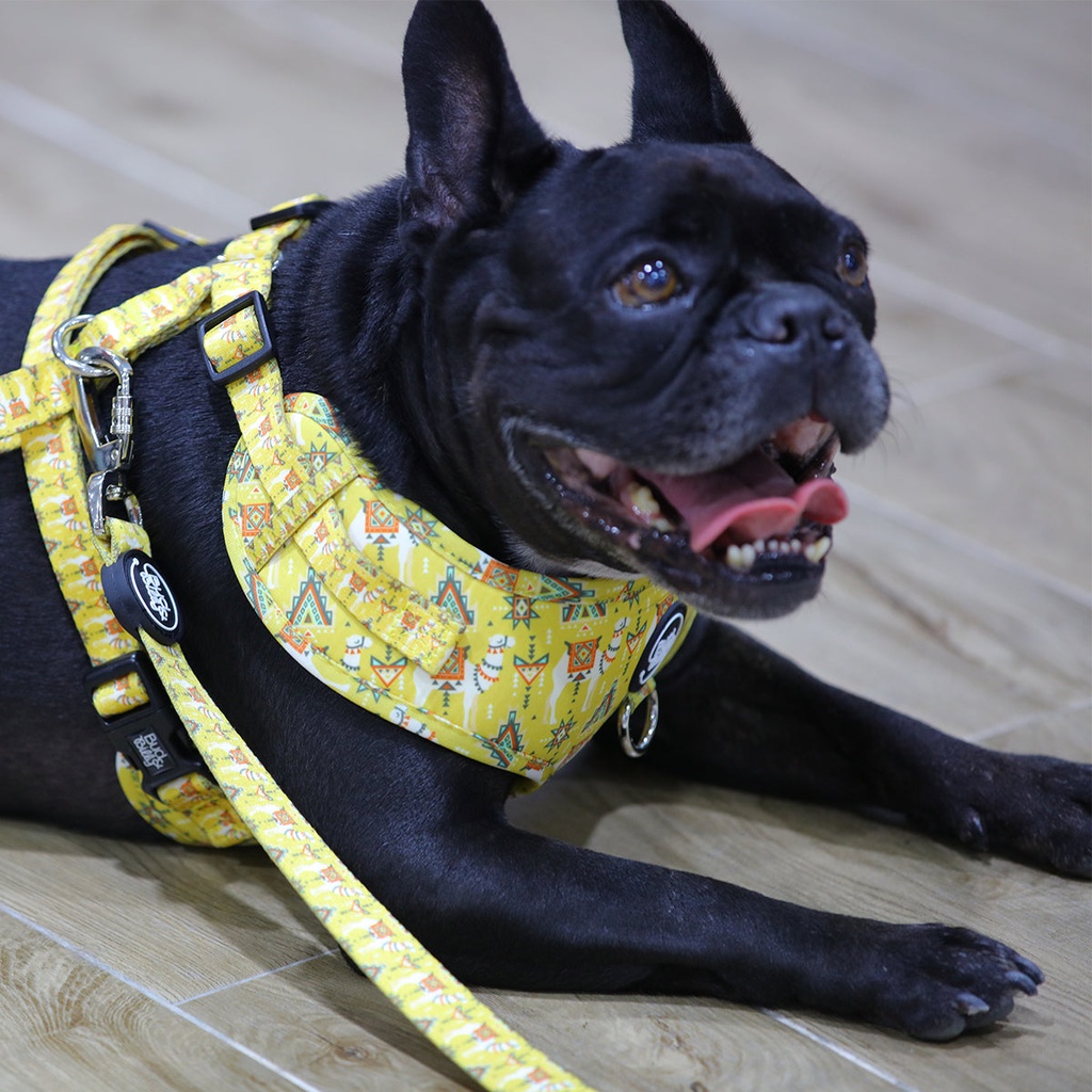 [P-016] Bud & Billy Dog Strong & Durable Leash - Lightweight, 1.8 Meters (XS-L) Dune Desert Collection, Striking Yellow