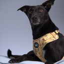 Bud & Billy Dog Harness Adjustable (XXS-XL) - Breathable Vest, Dune Desert Collection, Striking Yellow