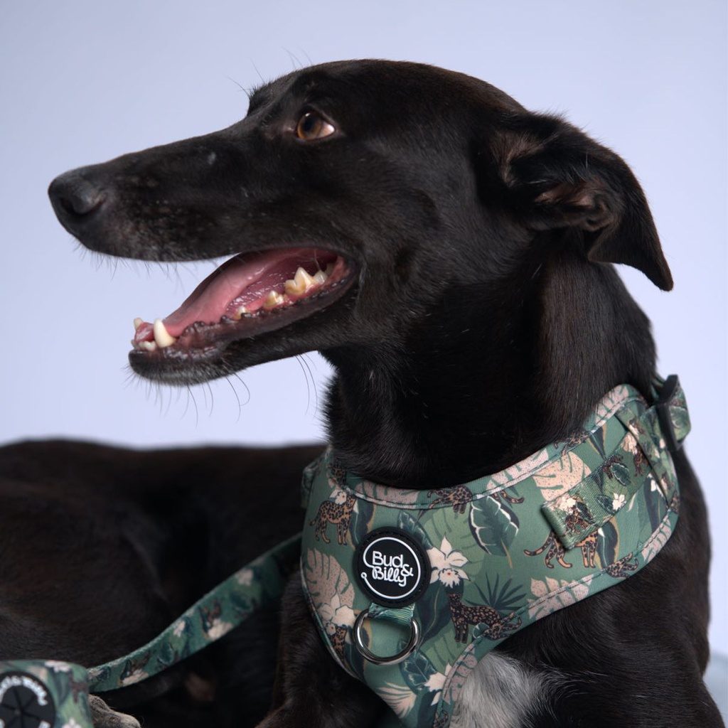 [P-020] Bud & Billy Dog Harness Adjustable (XXS-XL) - Breathable Vest, Safari Collection, Lush Green Palette
