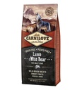 Carnilove Lamb & Wild Boar for Adult Dog Dry Food