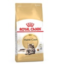 Royal Canin Maine Coon Adult Dry Cat Food