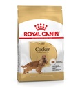 Royal Canin Cocker Spaniel Adult Dry Dog Food