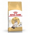 Royal Canin Ragdoll Adult Dry Cat Food