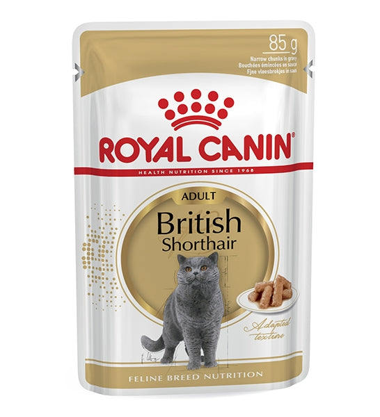 [P-258] Royal Canin British Shorthair Adult Wet Cat Food