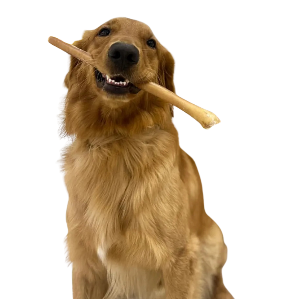 Pet Natural Farm 12" Bully Stick Dog Dental Treats (Jumbo)