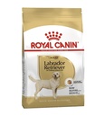 Royal Canin Labrador Retriever Adult Dry Dog Food