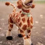 Full design - Pikachu/giraffe - Cat